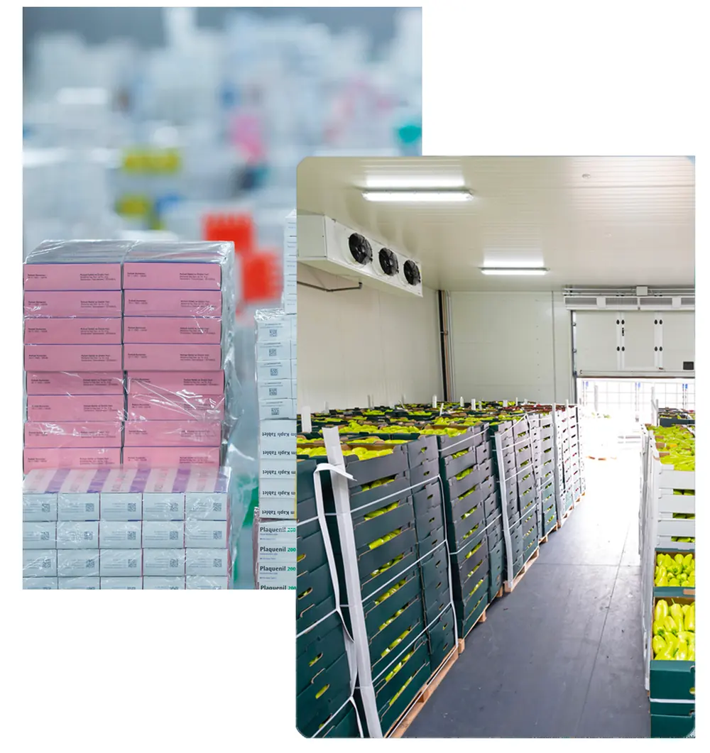 Interno delle celle frigorifere e corridoio dei depositi refrigerati